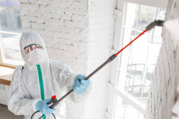 Best Mold Documentation for Insurance Claims  in Woodstock, GA