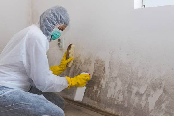 Best Commercial Mold Inspection  in Woodstock, GA
