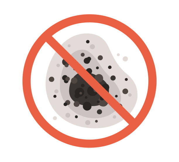 Reliable Woodstock, GA Mold Removal Solutions